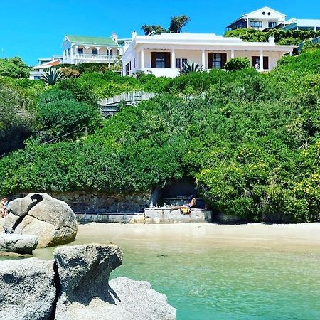 Bosky Dell On Boulders Beach Simonʼs Town Exteriér fotografie