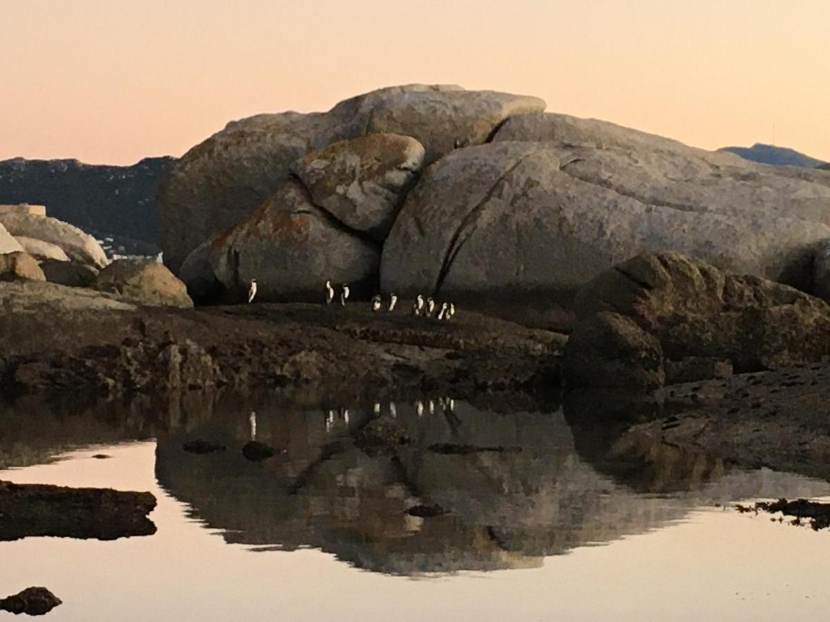 Bosky Dell On Boulders Beach Simonʼs Town Exteriér fotografie