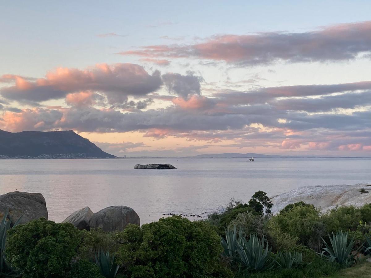 Bosky Dell On Boulders Beach Simonʼs Town Exteriér fotografie